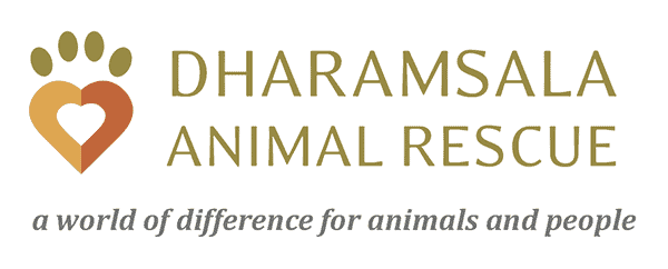 Home - Dharamsala Animal Rescue