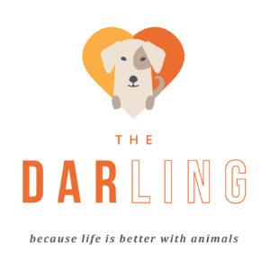 Dog with heart The Darling