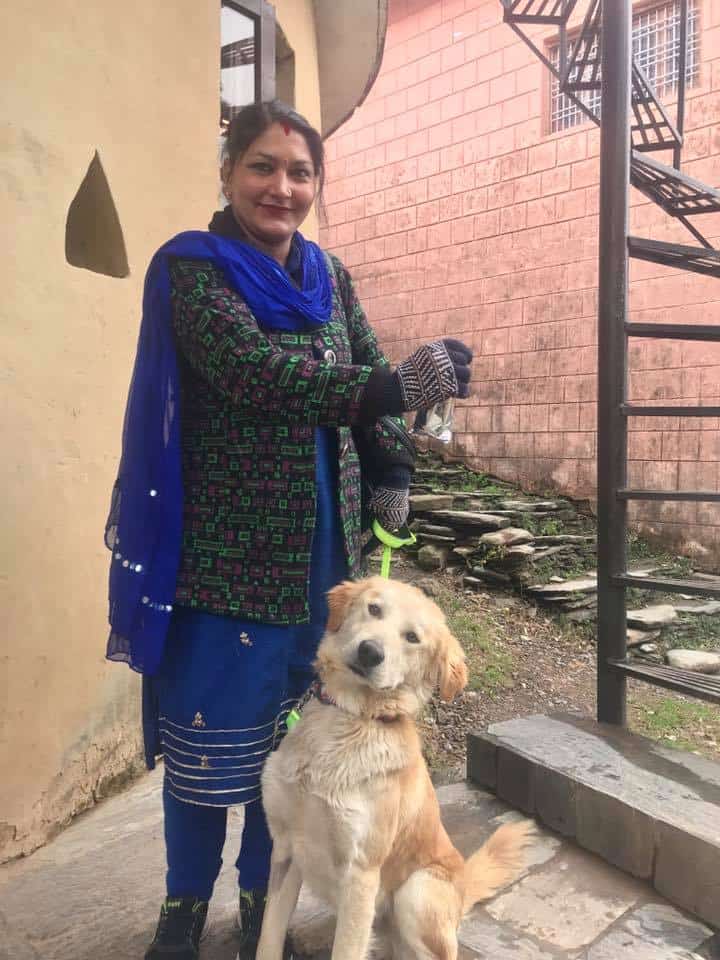 11_2019 Charlie local adoption - Dharamsala Animal Rescue