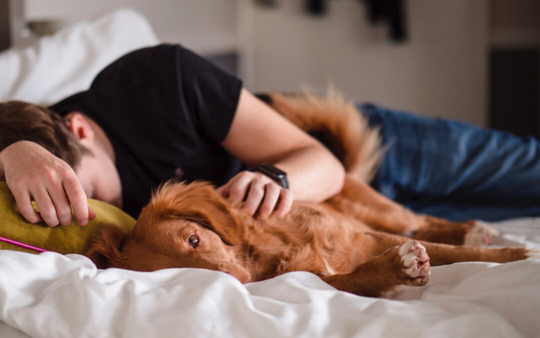 Benefits of Sleeping With Your Dog