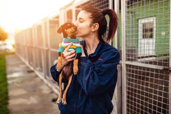 5 Ways To Care For Your Adopted Rescue Dog