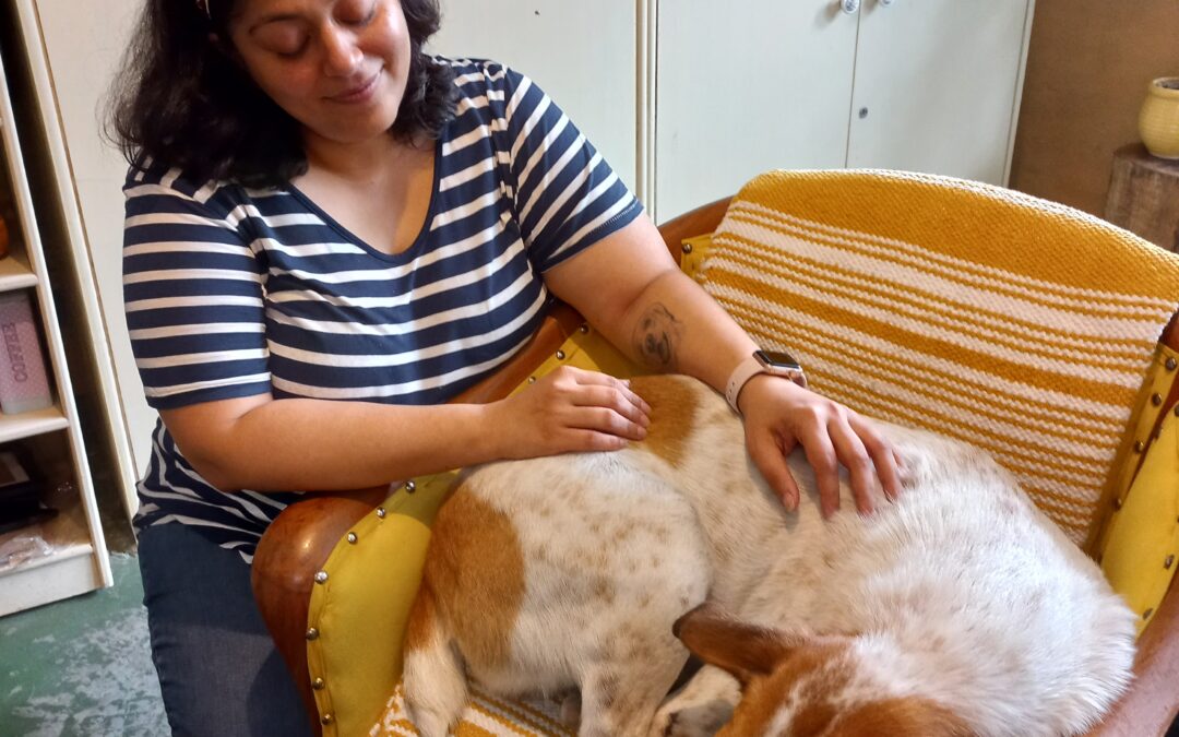 Sugar and street dogs: a true dog-friendly café in Dharamsala
