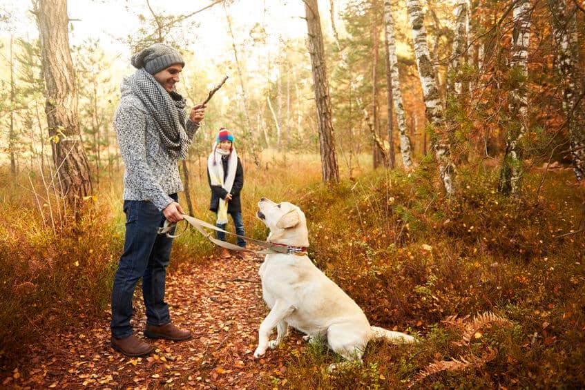 Fun Outdoor Activities To Do With Your Dog This Fall