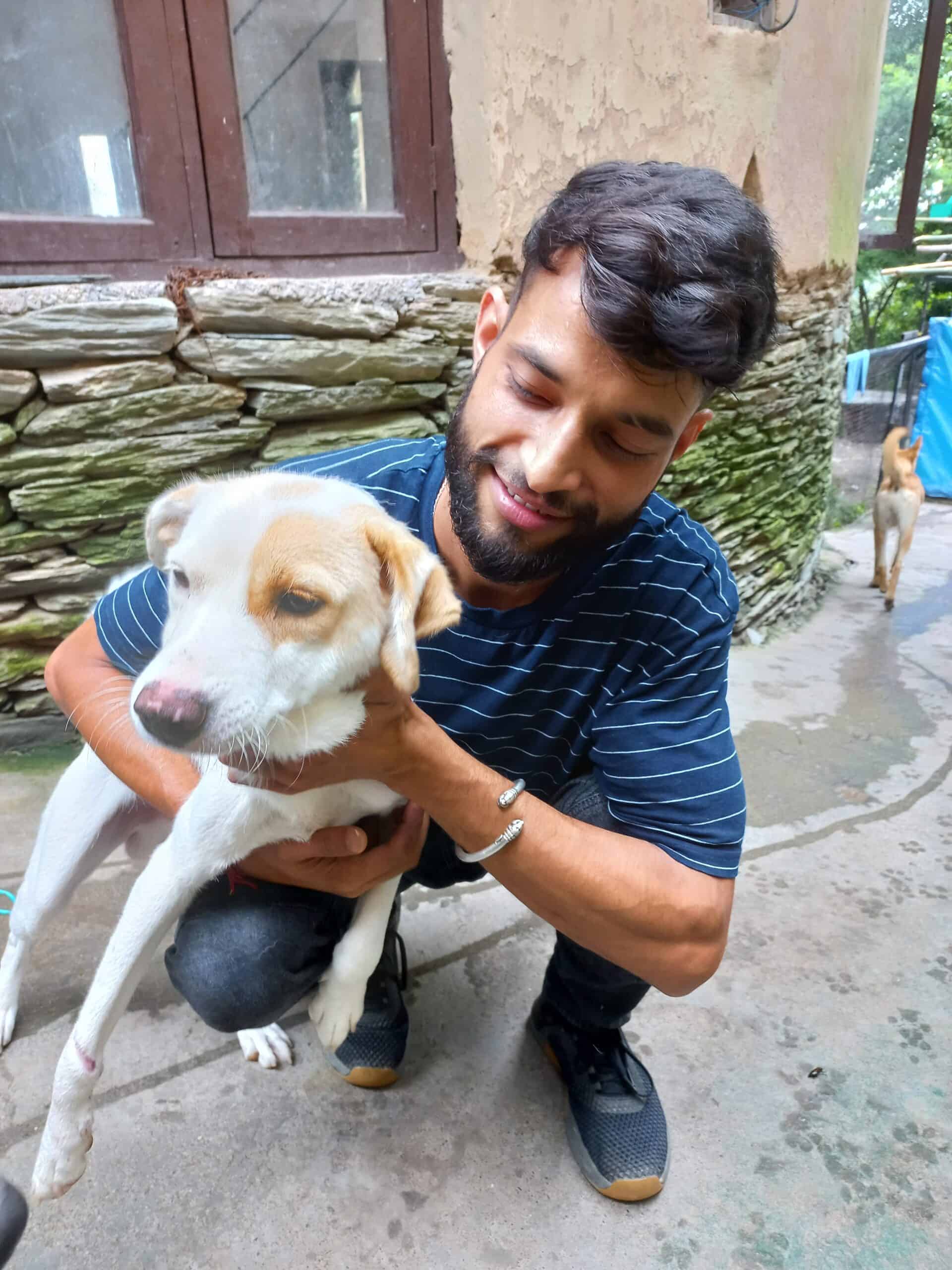Dedicated dog lovers: meeting the DAR Team - Ankit - Dharamsala Animal  Rescue
