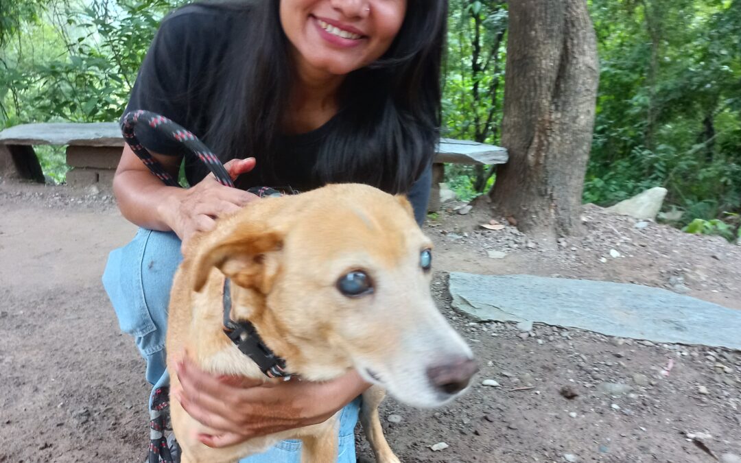 Dedicated dog lovers: meeting the DAR team – Shweta