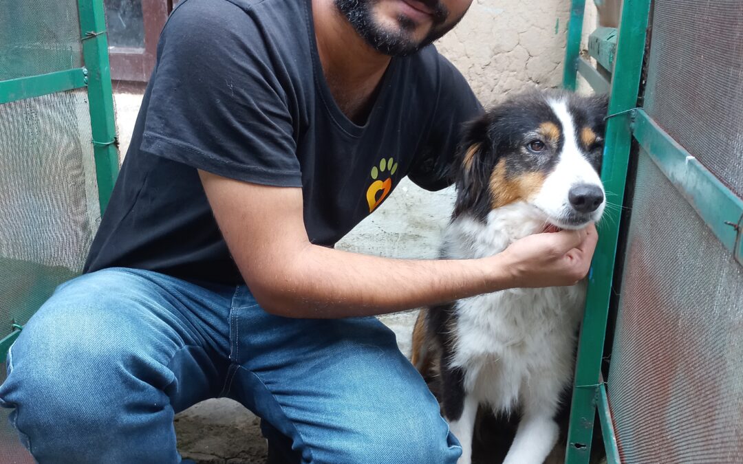 Dedicated dog lovers: meeting the DAR Team – Dr Mukesh