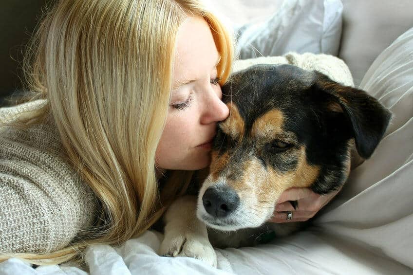 Elder Pet Care: Tips For Caring For Your Elderly Dog
