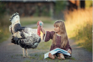 girl petting a turkey]
